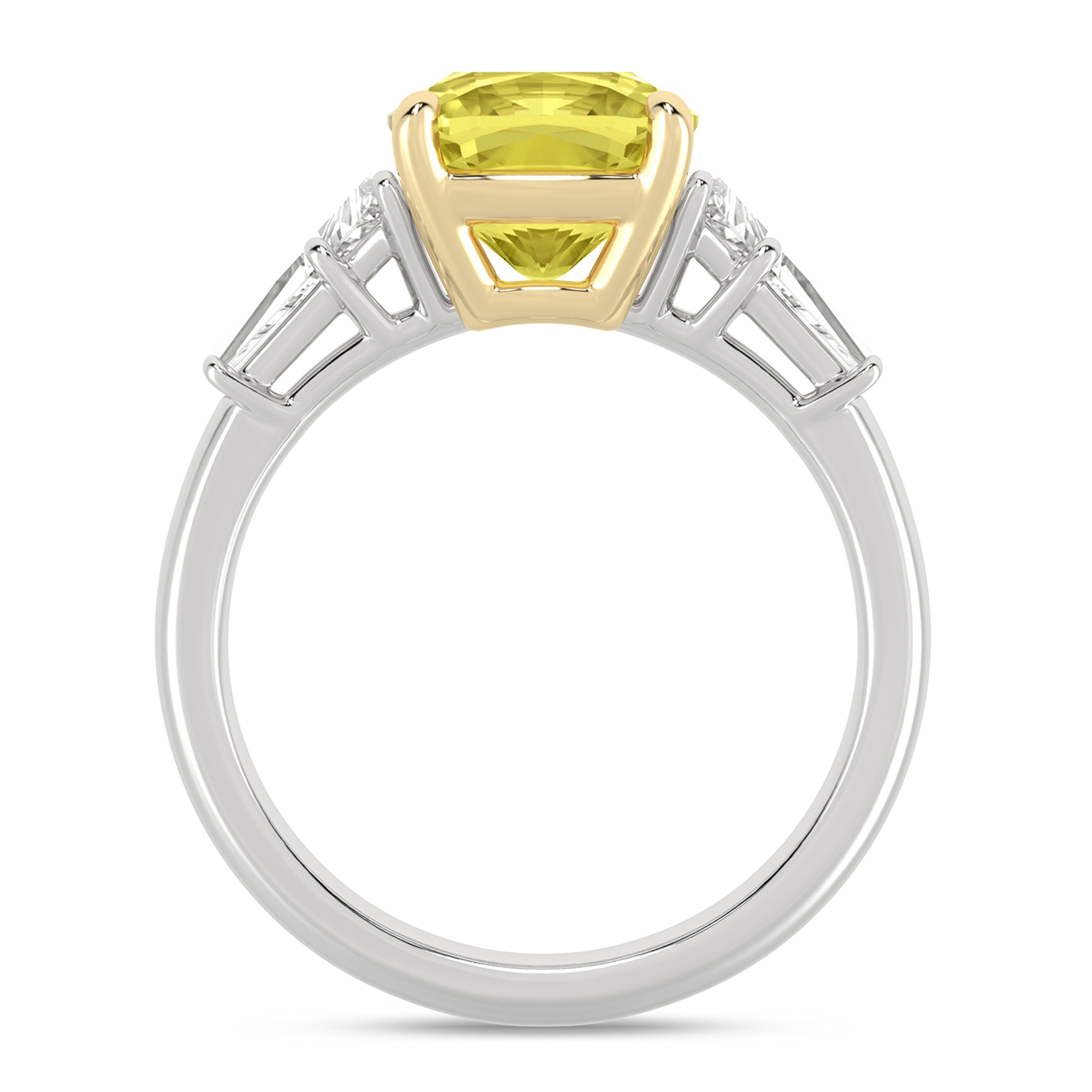 66075_3.jpg
