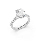 69809_4.jpg